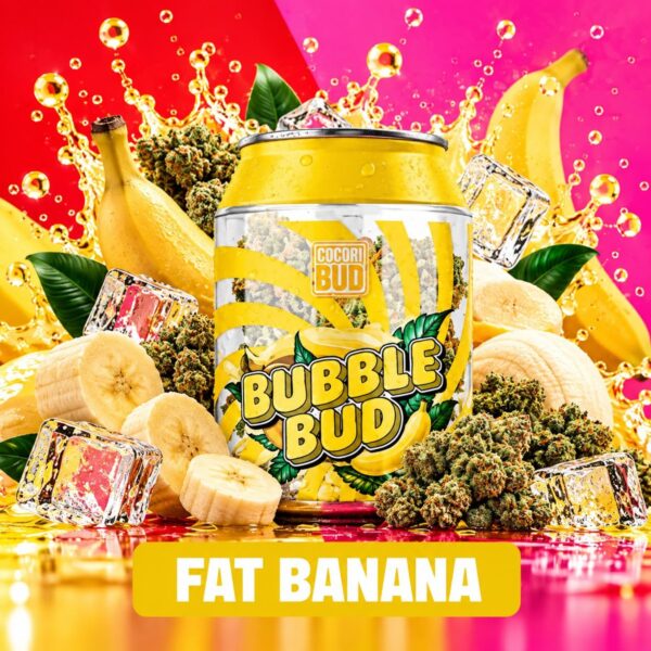 Fleur CBD Cocori Kush Bubble Bud – Fat Banana (10 g)
