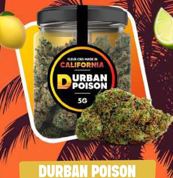 Fleur CBD Cocori Kush California – Durban Poison