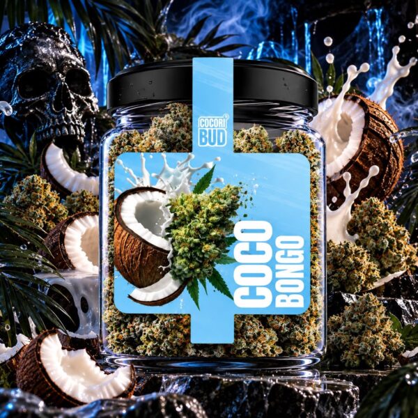 Fleur CBD Cocori Kush – Coco Bongo