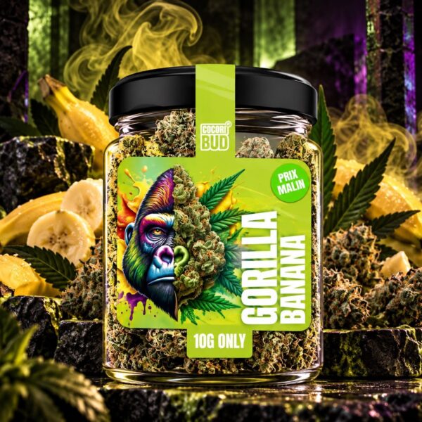 Fleur CBD Cocori Kush – Gorilla Banana