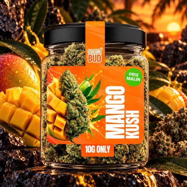 Fleur CBD Cocori Kush – Mango Kush