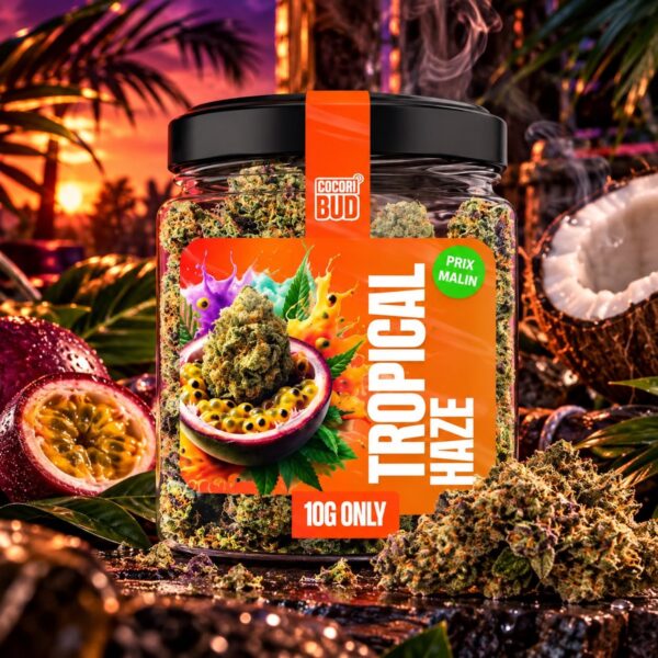 Fleur CBD Cocori Kush – Tropical Haze