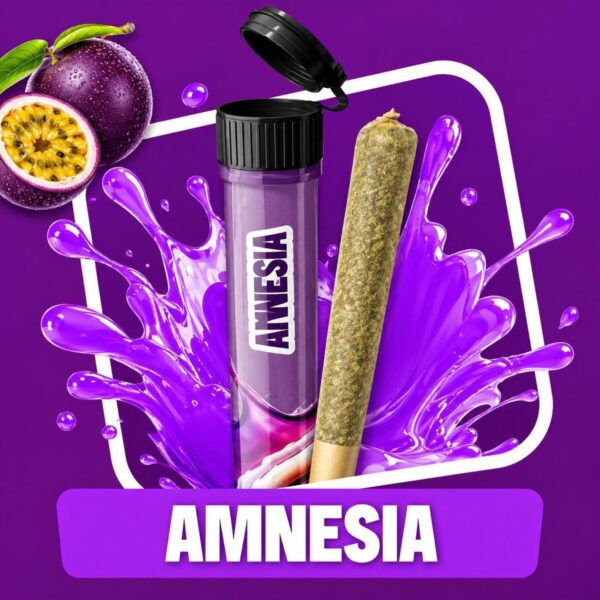 Pre-roll CBD Cocori Kush Infu'Stick – Amnesia