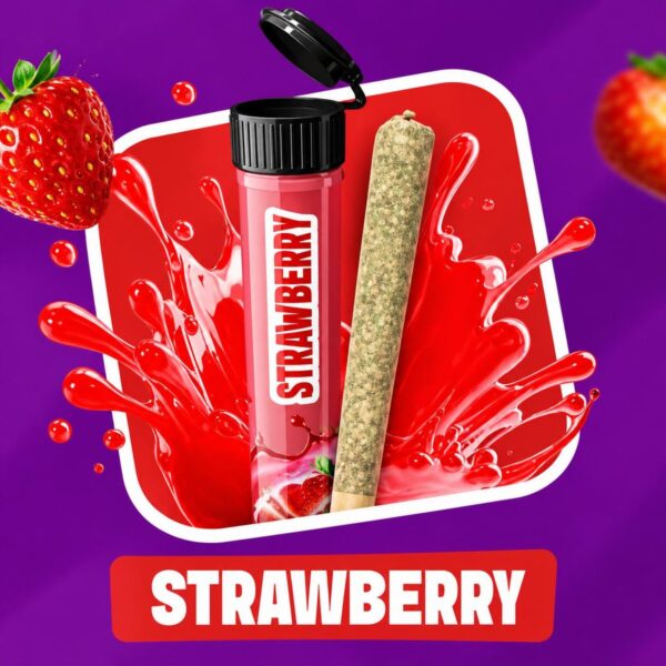 Pre-roll CBD Cocori Kush Infu'Stick – Strawberry