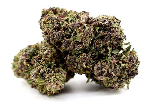 Fleur CBD – Aladin Purple Kush