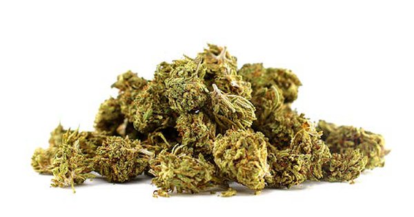 Small Buds CBD – Chemdawg