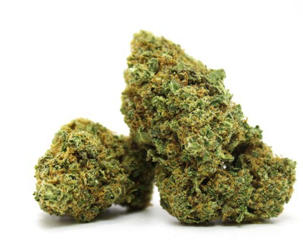 Fleur CBD – Chocolope