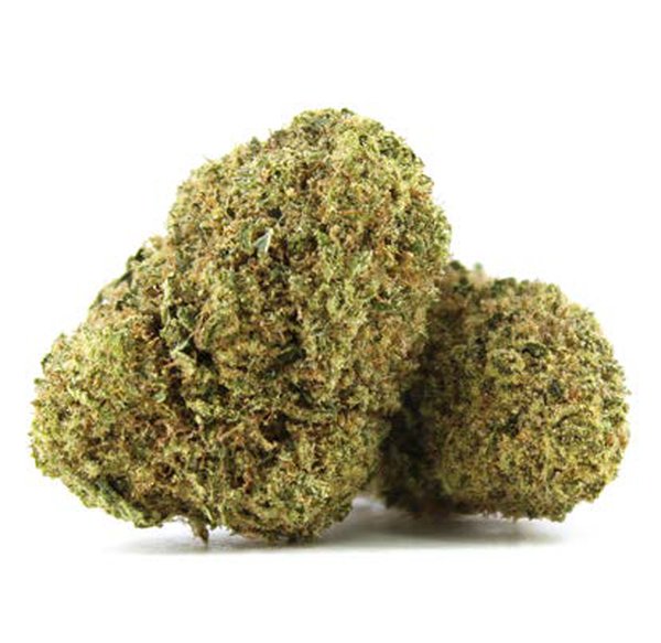 Fleur CBD – Dom Pérignon