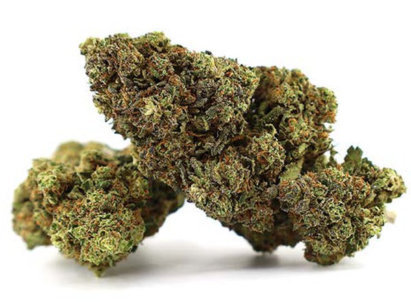 Fleur CBD – Fragola