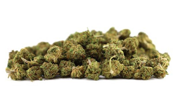 Small Buds CBD – Fragolina