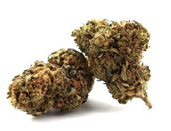 Fleur CBD – Gelato