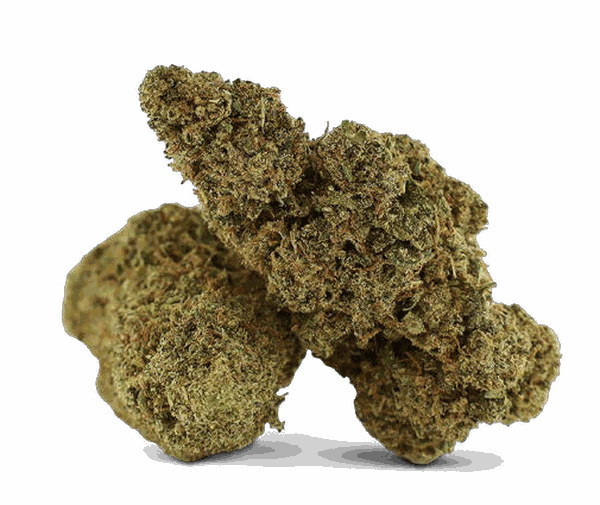 Fleur CBD – GMO Cookies