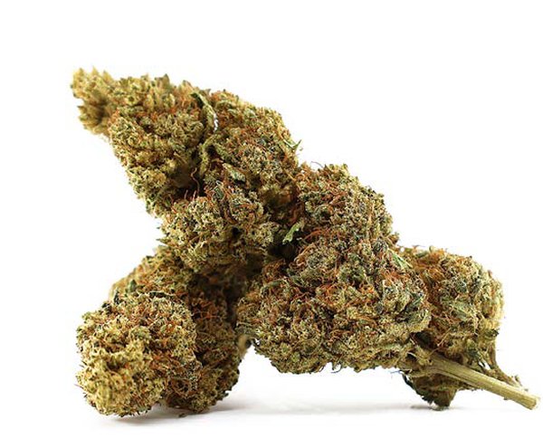 Fleur CBD – Limoncello