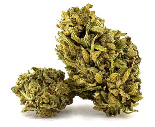 Fleur CBD – Mercury OG