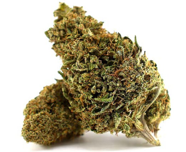 Fleur CBD – Tangie