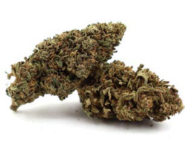 Fleur CBD – Vanilla Kush