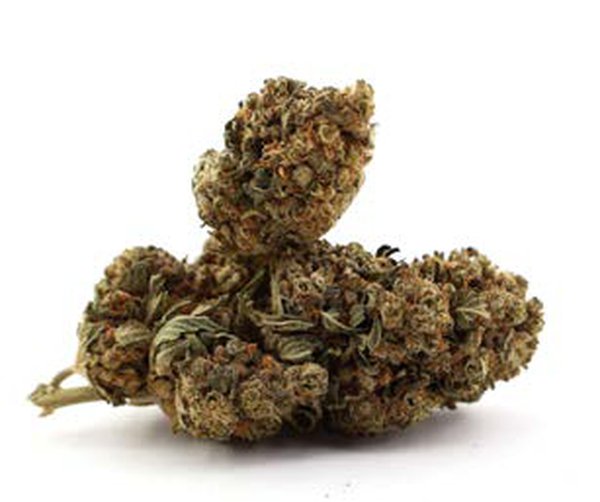 Fleur CBD – Watermelon Cookies