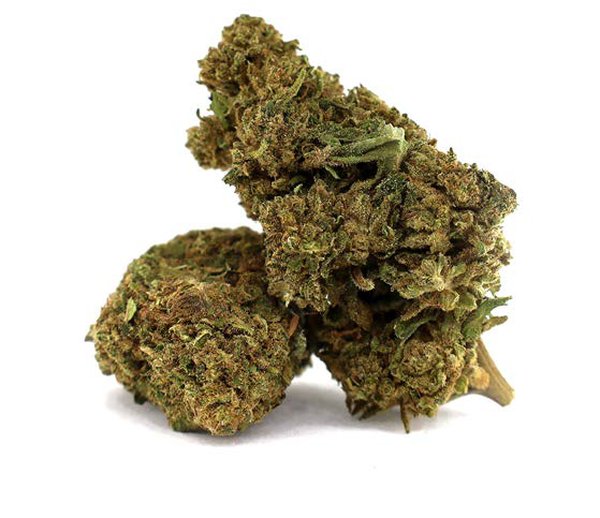 Fleur CBD – White Rhino